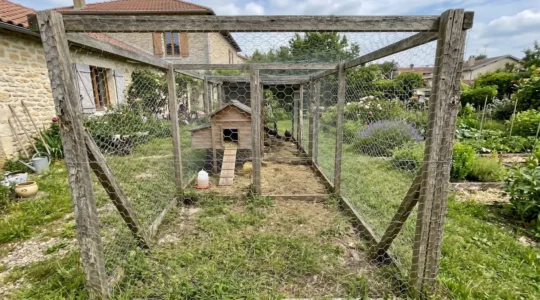 Enclos grillagé à maille hexagonale installé autour d'un poulailler dans un jardin résidentiel français
